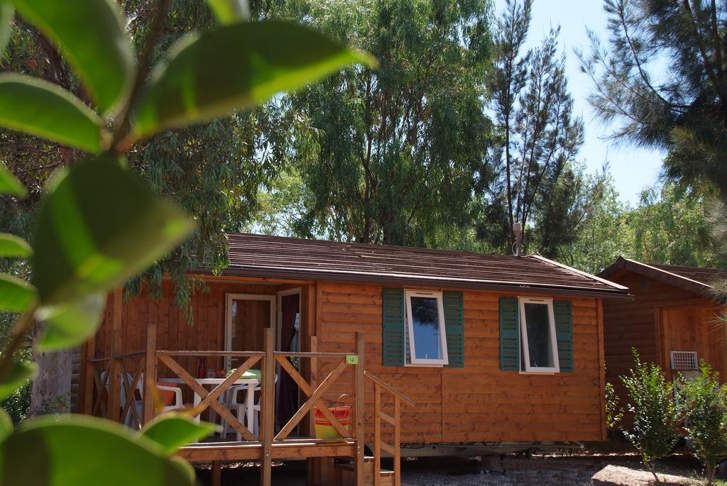 Camping Les Palmiers Hyères Pokoj fotografie